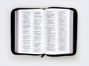 19_Biblia