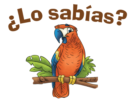 Se enfoca en muchos hechos interesantes que se encuentran en la Biblia.