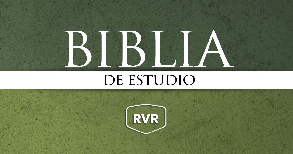 biblia de estudio rvr reina valera revisada