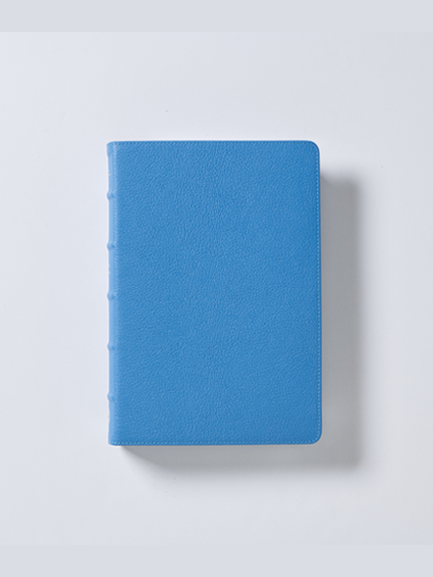 RVR 60 COLECCION PREMIER AZUL