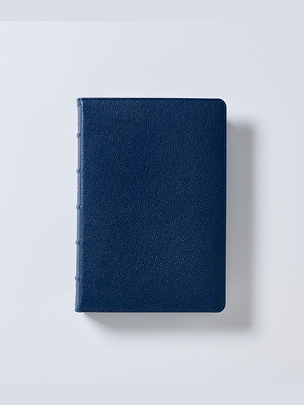 RVR 1960 Coleccion Premier