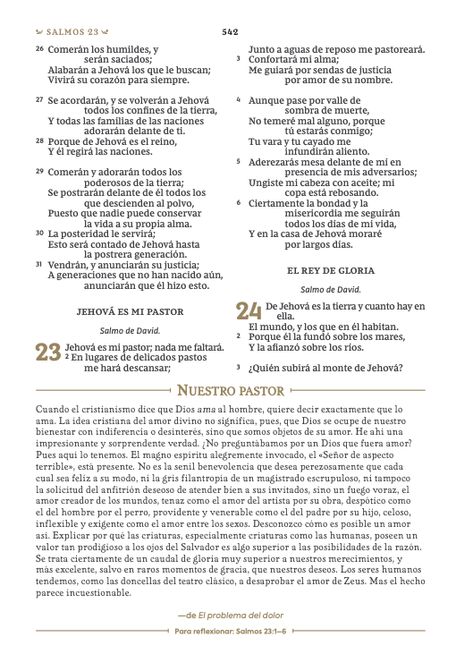 Screen Shot 2022-11-15 at 9.09.24 PM