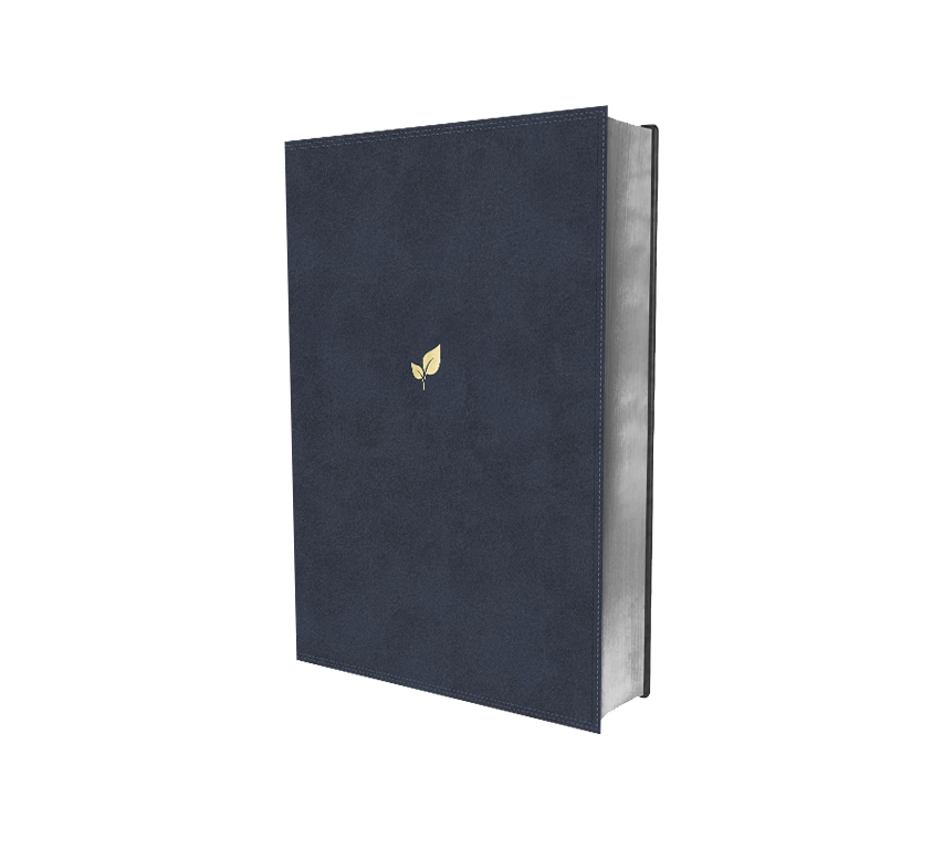 Biblia max lucado palabras de Aliento