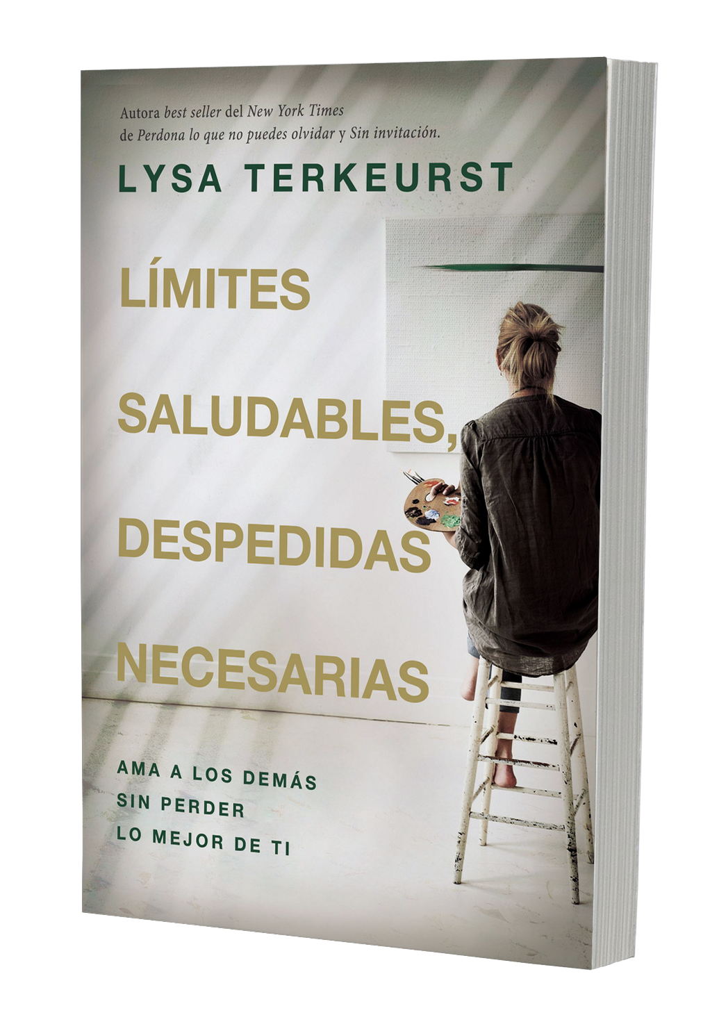 libro limites saludables