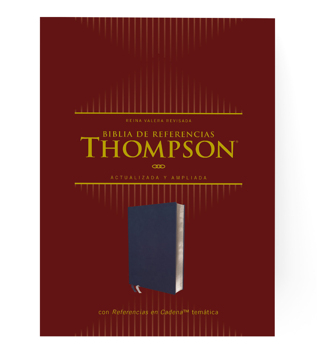 BIBLIA THOMPSON 22