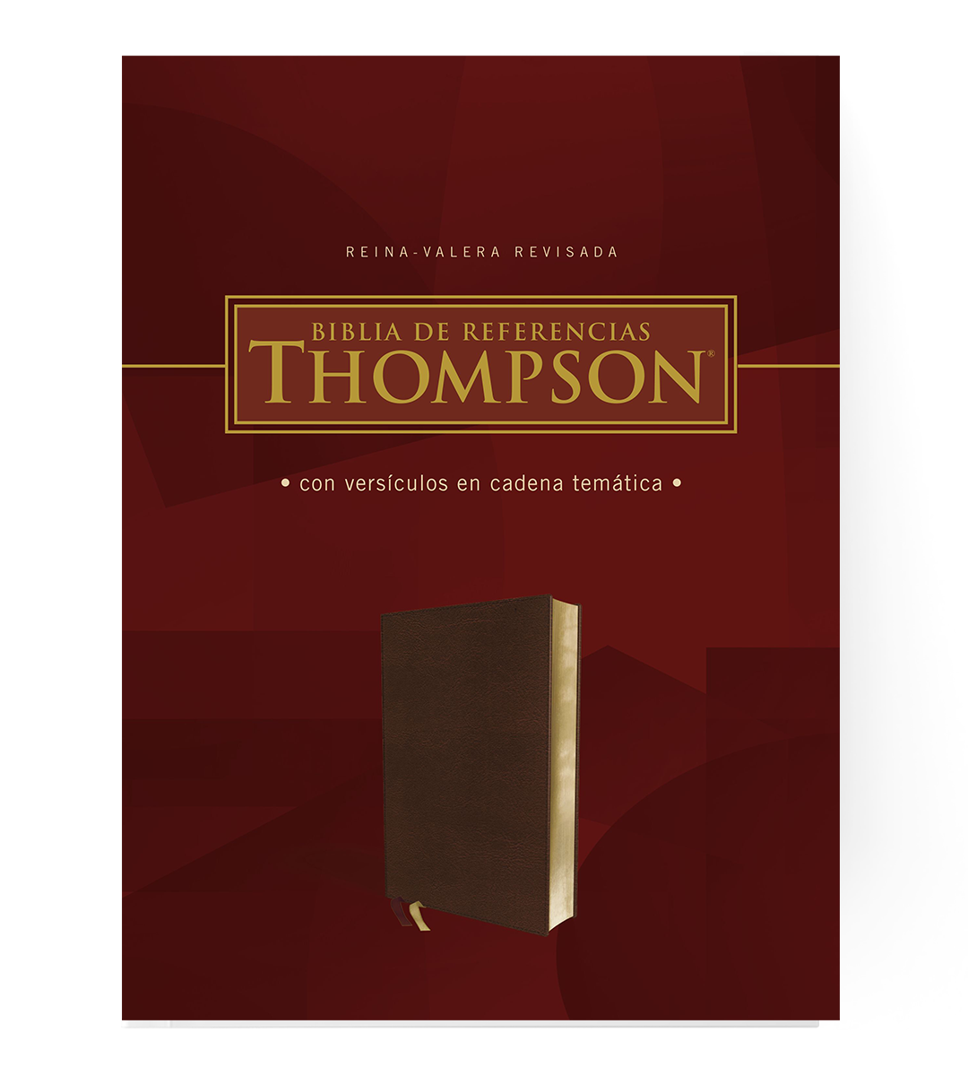 biblia thompson 23