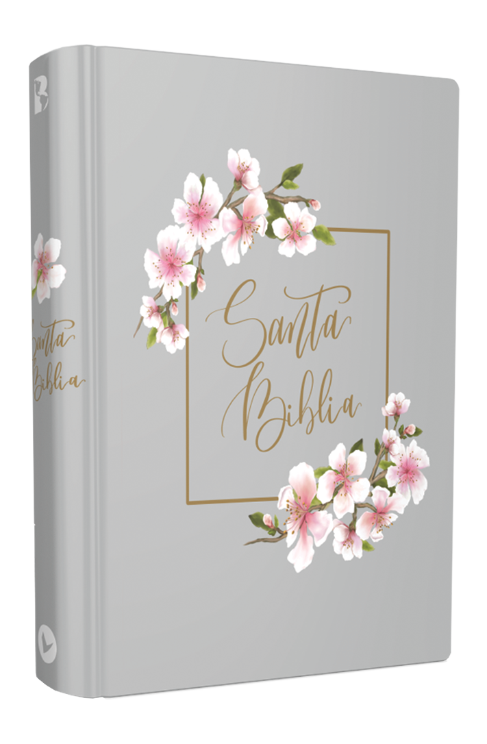 santa biblia