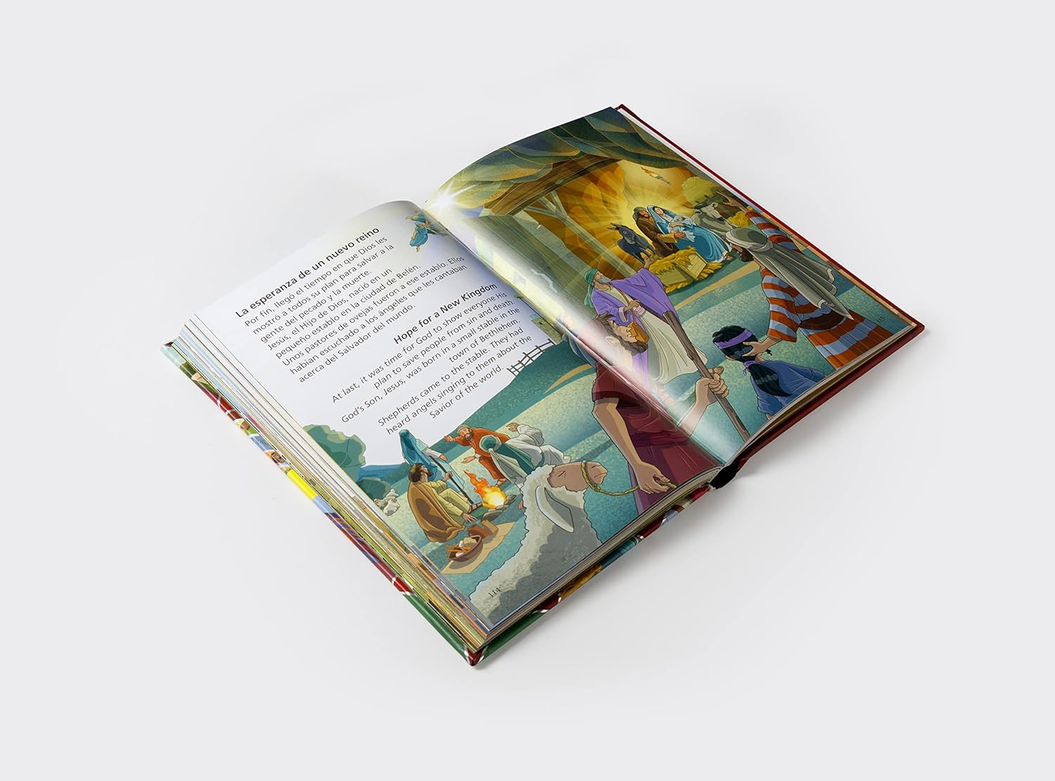 81shnAHQwxL._SL1500_