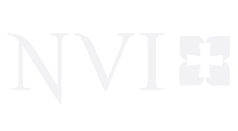 LOGO_NVI