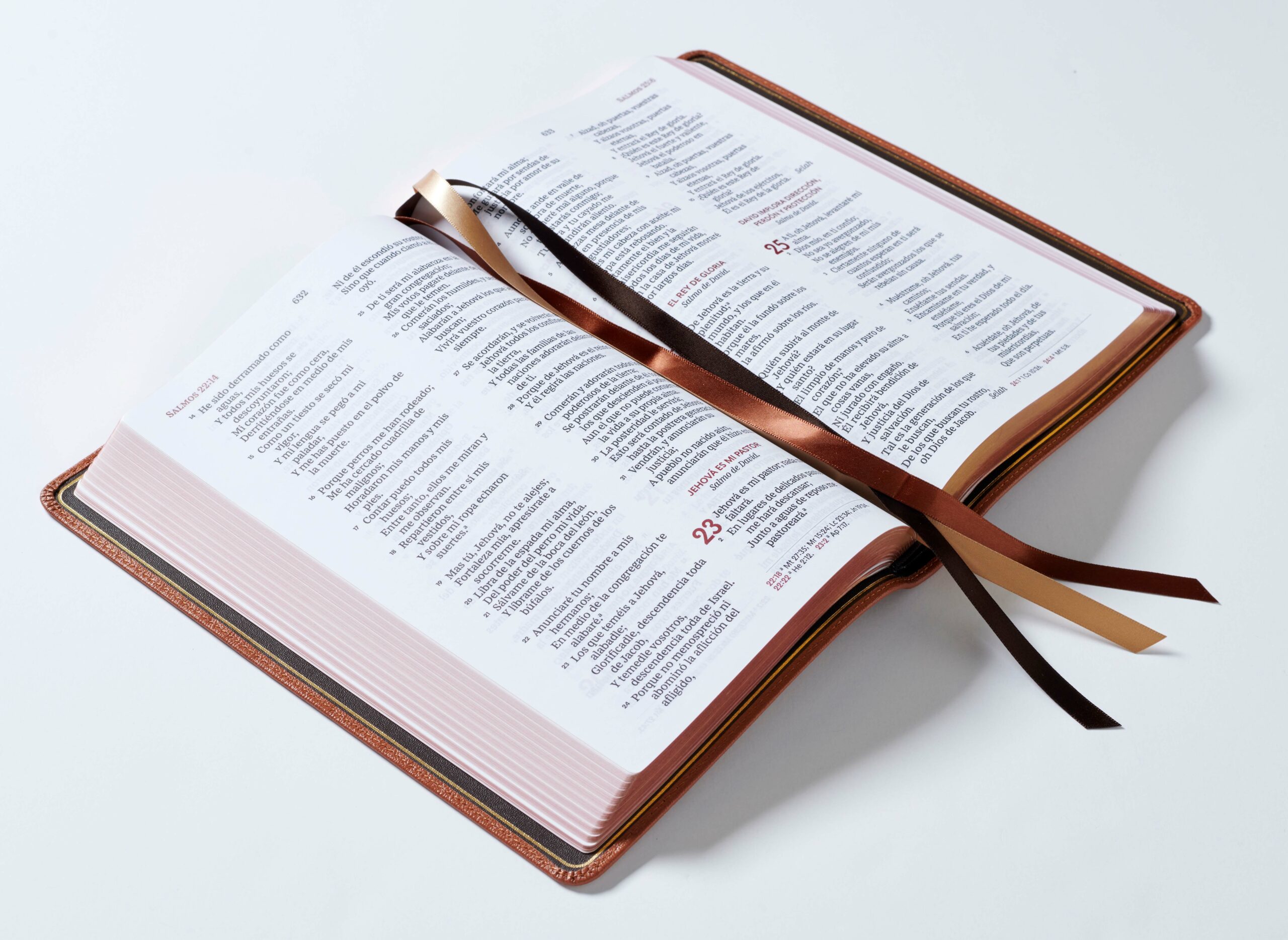 BibliaColeccionPremierRVR60