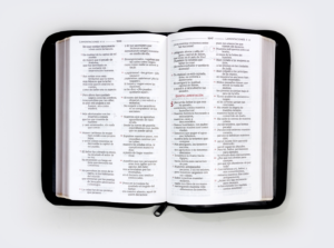 19_Biblia